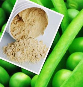 pea protein