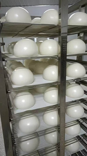 Mini steamed bun911.jpg